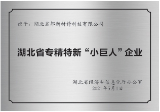 湖北省专精特新“小巨人”认定